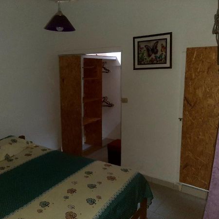 Backpacker Kitara House Hotell Tarapoto Eksteriør bilde