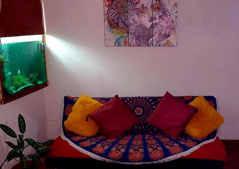 Backpacker Kitara House Hotell Tarapoto Eksteriør bilde