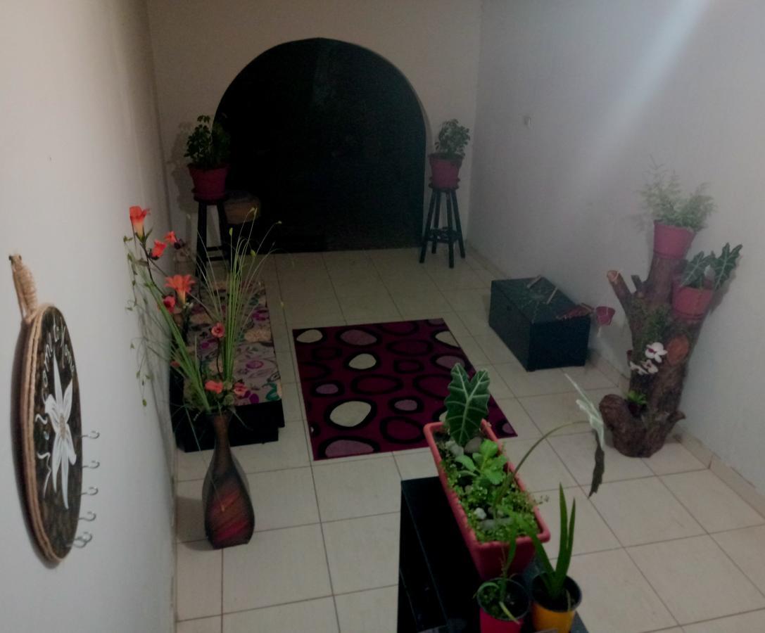 Backpacker Kitara House Hotell Tarapoto Eksteriør bilde