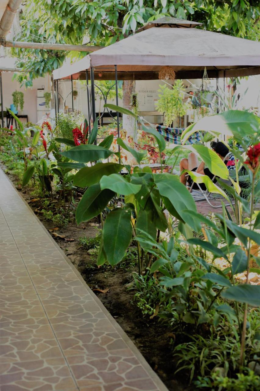 Backpacker Kitara House Hotell Tarapoto Eksteriør bilde
